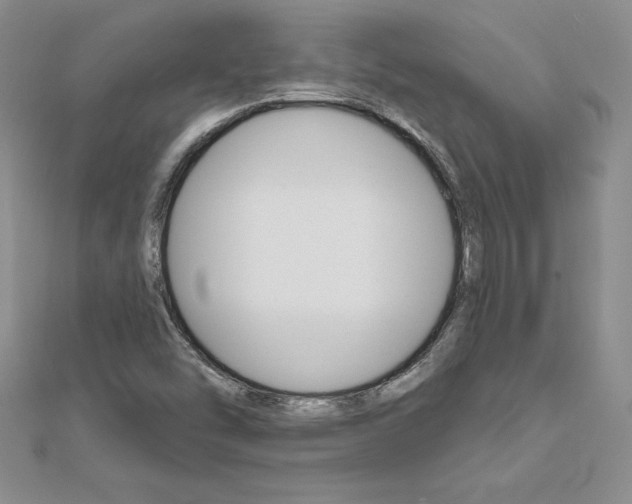 X0000112021454200908031032