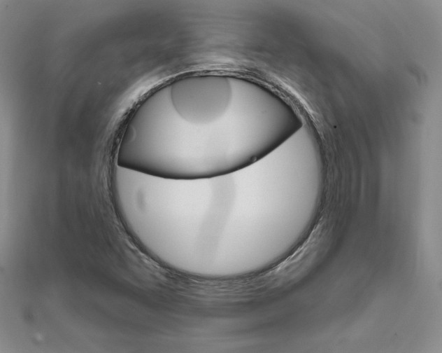 X0000112021455200908031032