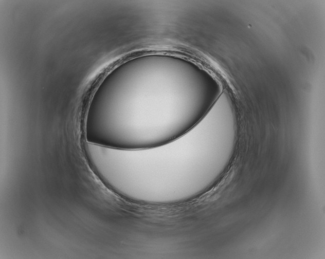 X0000112021456200908031032