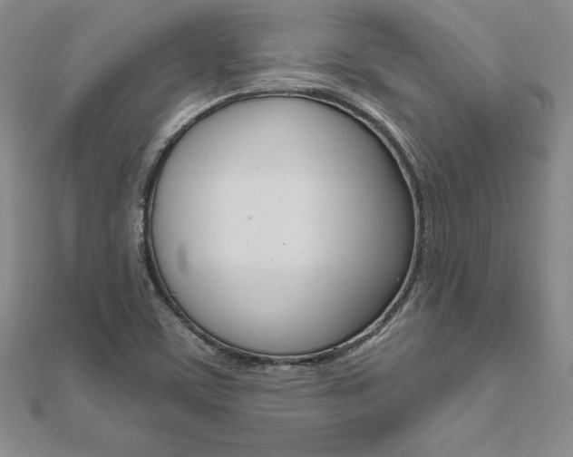 X0000112021459200908031032