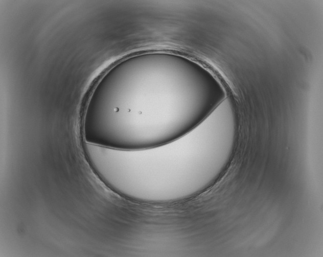 X0000112021460200908031032