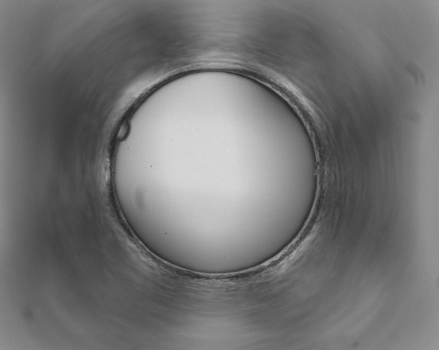 X0000112021461200908031032