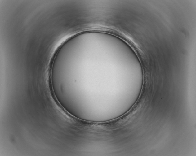 X0000112021463200908031032