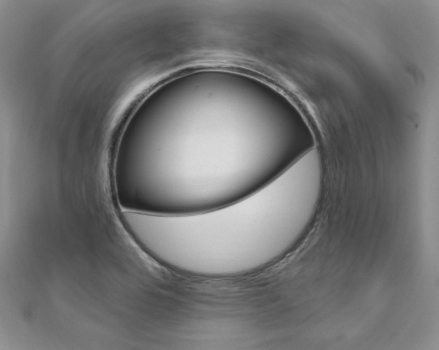 X0000112021464200908031032