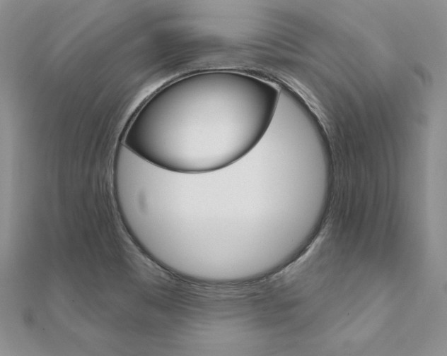 X0000112021465200908031032
