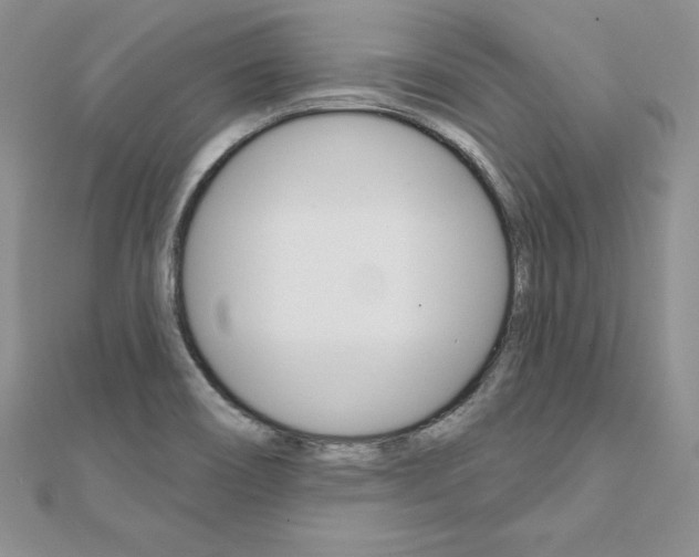 X0000112021466200908031032