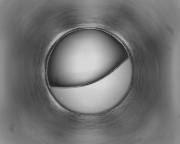 X0000112021468200908031032