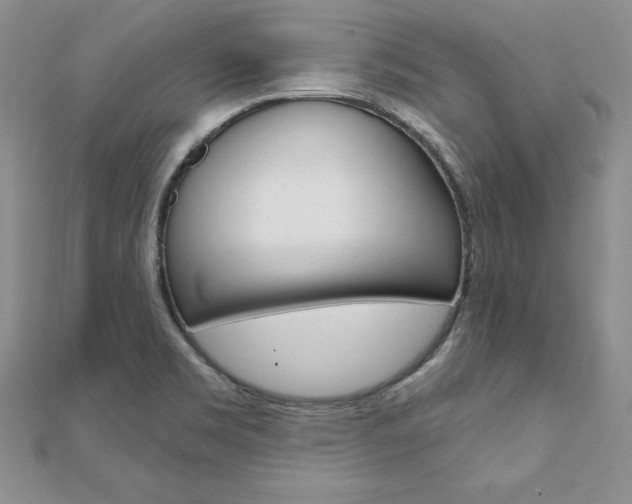 X0000112021469200908031032