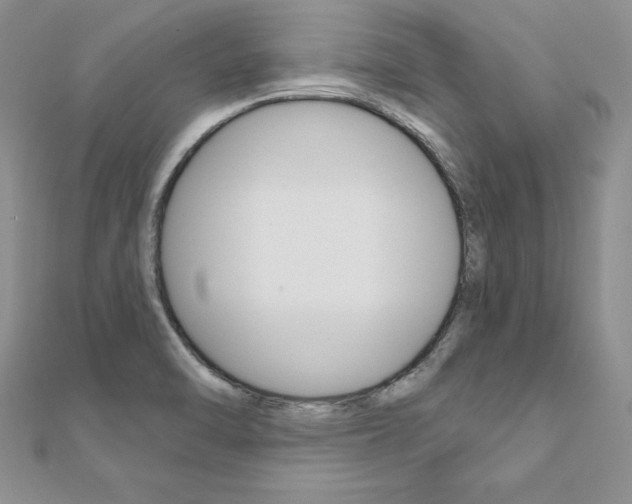 X0000112021470200908031032