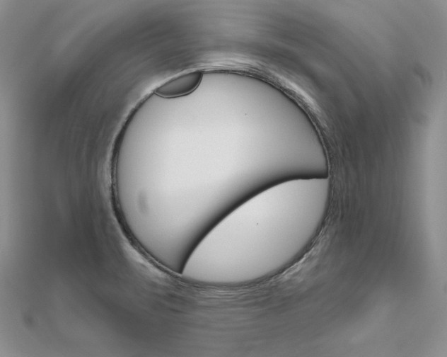X0000112021471200908031032