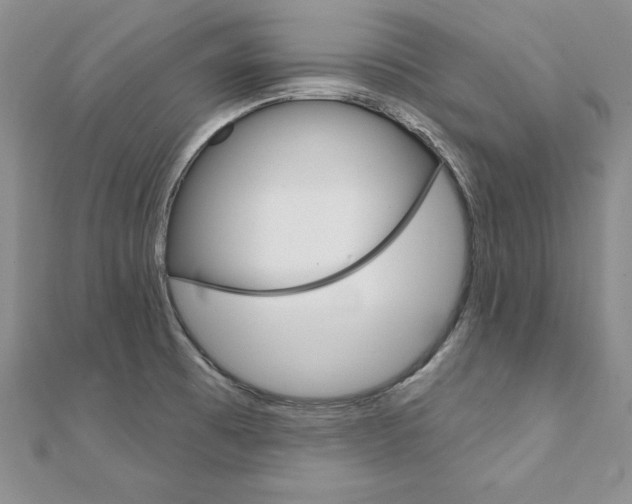 X0000112021473200908031032