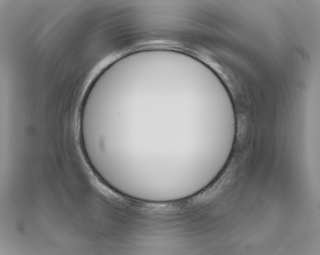 X0000112021474200908031032