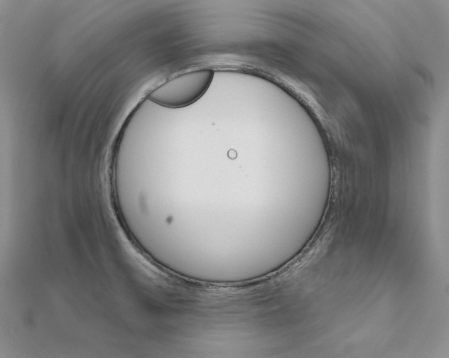 X0000112021475200908031032