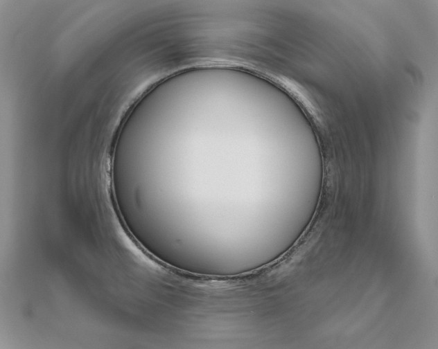 X0000112021476200908031032