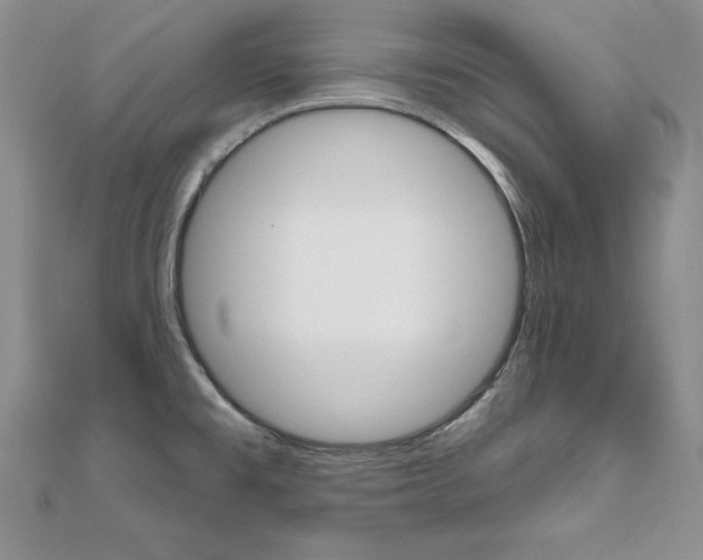 X0000112021477200908031032