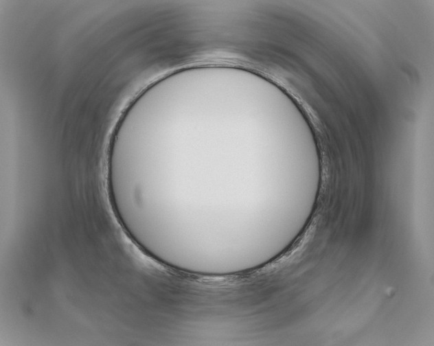 X0000112021478200908031032