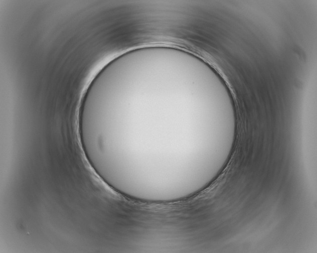 X0000112021480200908031032