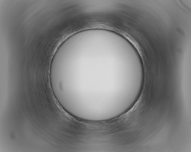 X0000112021481200908031032