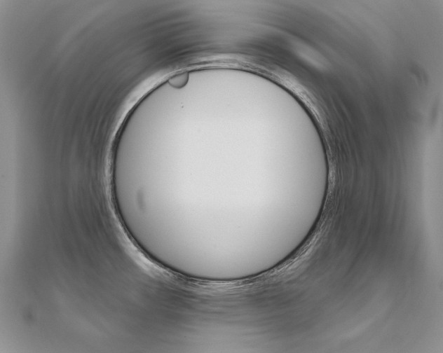 X0000112021482200908031032