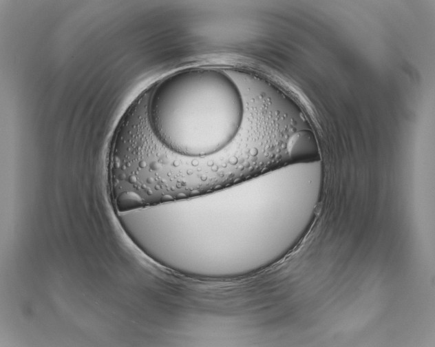 X0000112021483200908031032