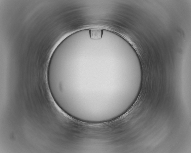 X0000112021484200908031032