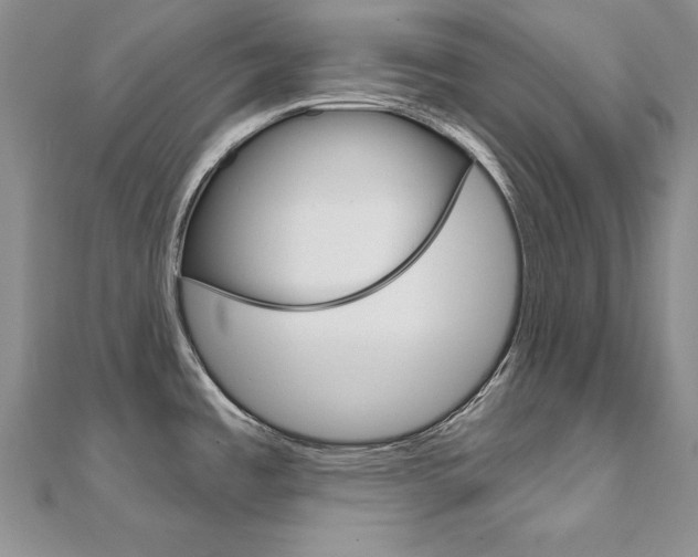 X0000112021485200908031032