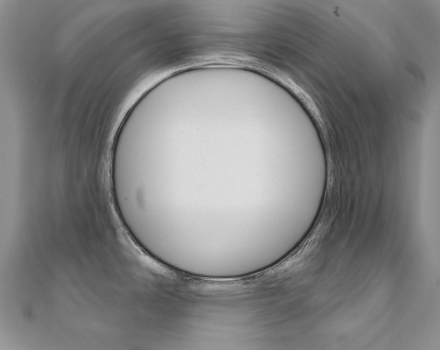 X0000112021486200908031032