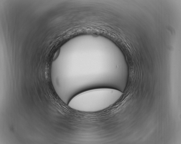 X0000112021490200908031031