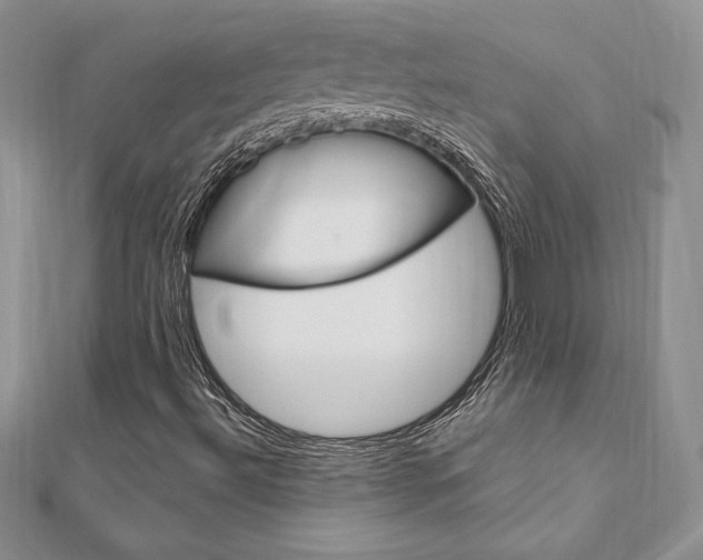 X0000112021492200908031031
