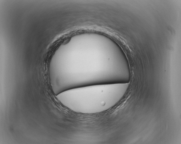 X0000112021494200908031031