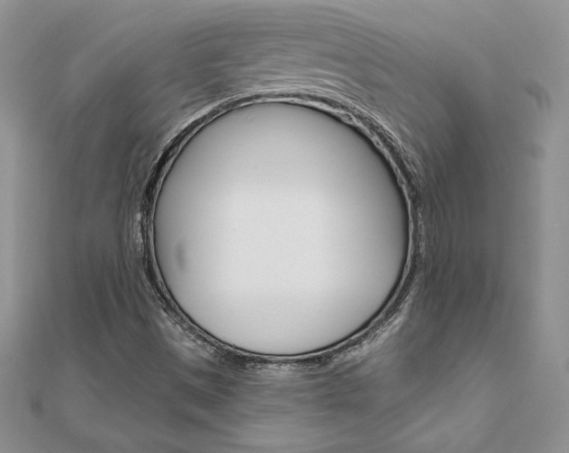 X0000112021497200908031031