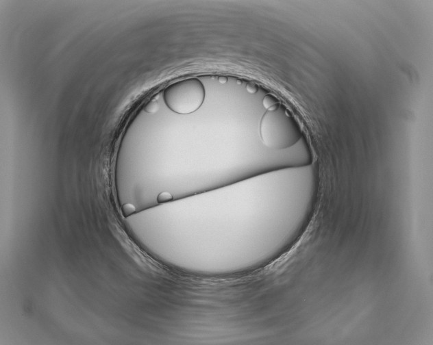 X0000112021499200908031031