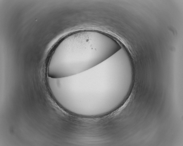 X0000112021502200908031031