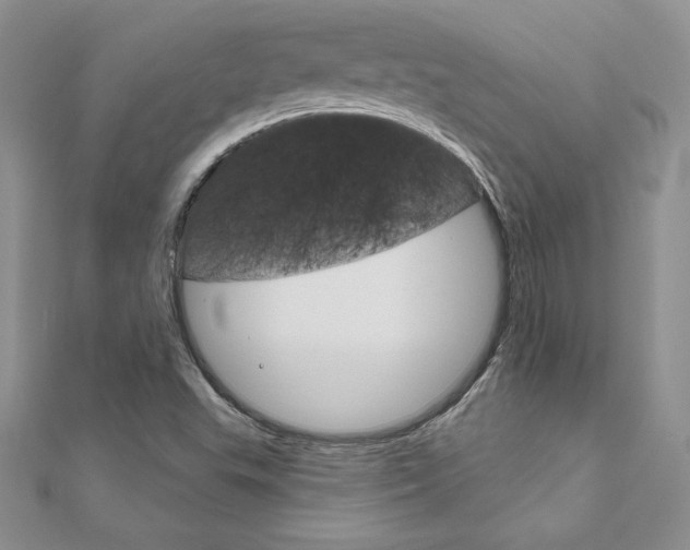 X0000112021503200908031031
