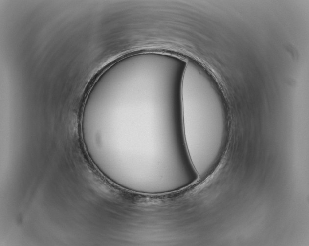 X0000112021505200908031031