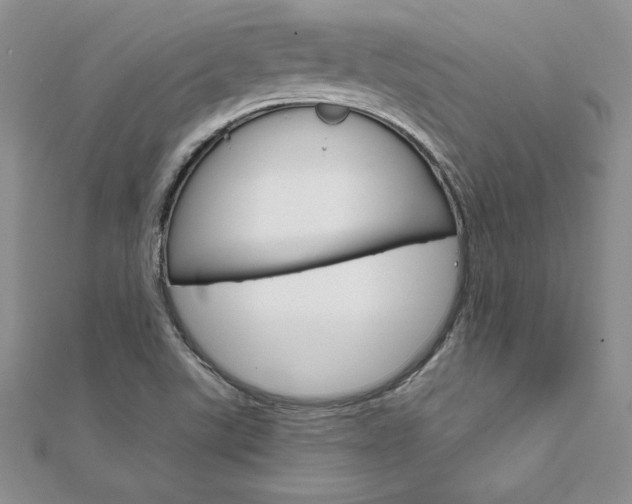 X0000112021507200908031031