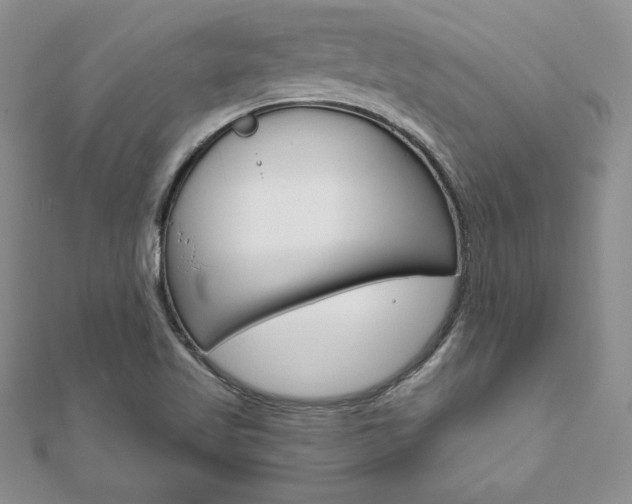 X0000112021509200908031031