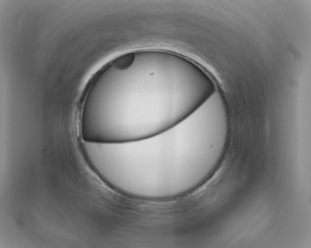 X0000112021510200908031031