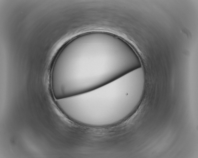 X0000112021511200908031031