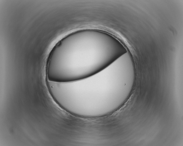 X0000112021512200908031031