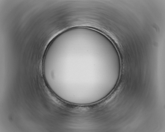 X0000112021513200908031031