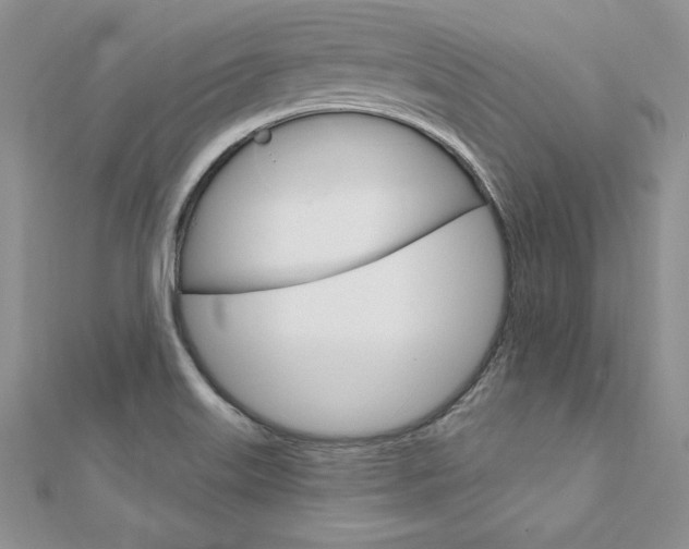 X0000112021515200908031031