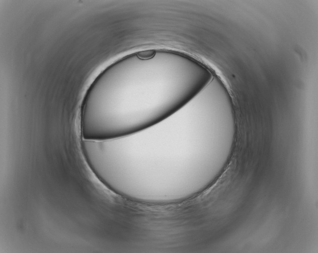 X0000112021516200908031031