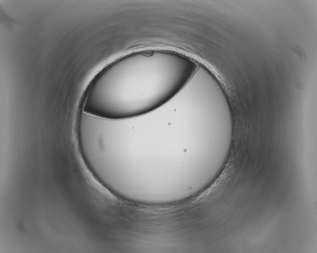 X0000112021518200908031031