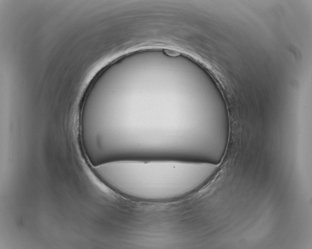X0000112021519200908031031