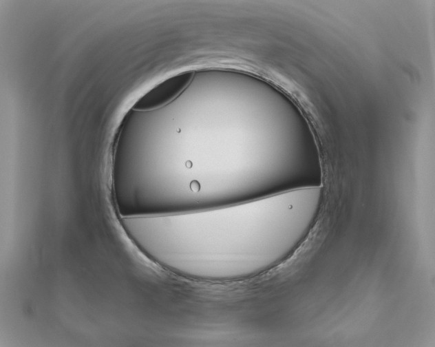 X0000112021520200908031031