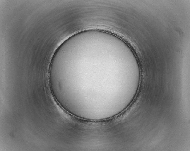 X0000112021521200908031031