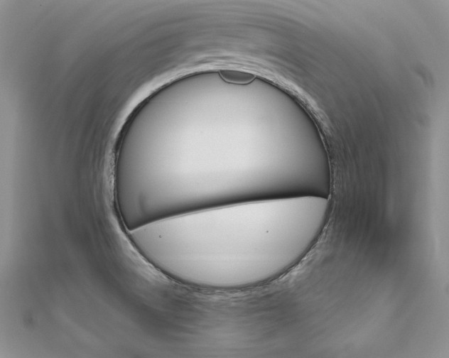 X0000112021522200908031031