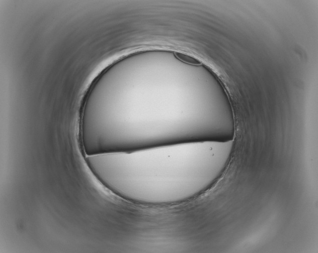 X0000112021523200908031031