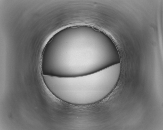 X0000112021524200908031031